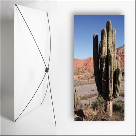 Kakemono AMS Cactus - 180 x 80 cm - Toile M1 avec structure  X- Banner