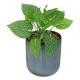 Plante artificielle pot bleu 9 x 16cm