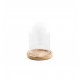 Cloche en verre sur support en bois 14 cm x 21 cm