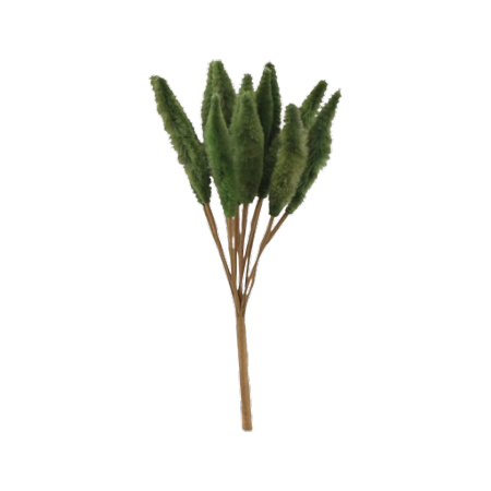 Bouquet de setaria naturel vert (100gr) 74 cm