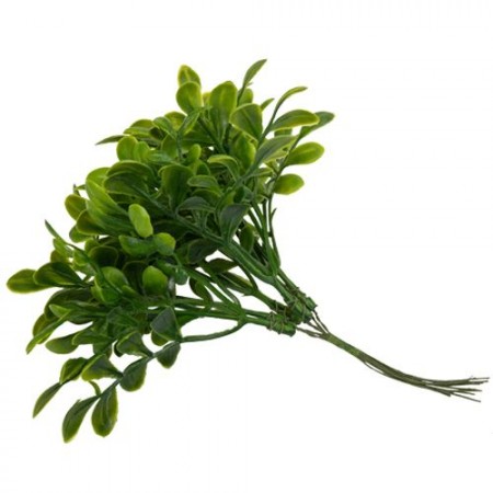 6 mini branches de Basilic vert sur tige - Haut. 15cm