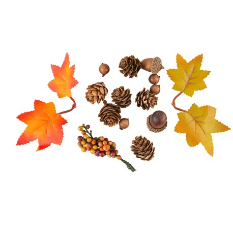 Assortiment Feuilles d'Érable, Pommes Pin, Glands et Baies Automnales (env.15pc)