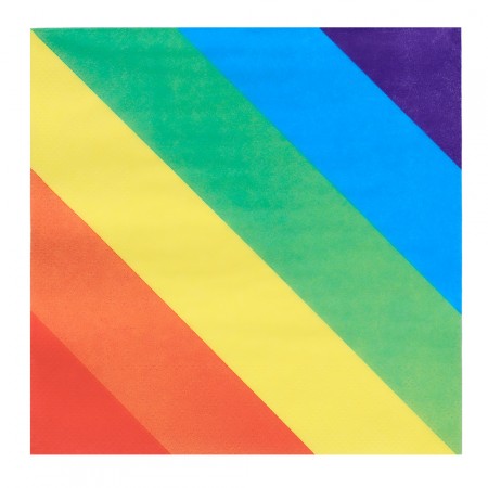 Lot de 20 Serviettes en papier Arc-en-ciel (33 x 33 cm)